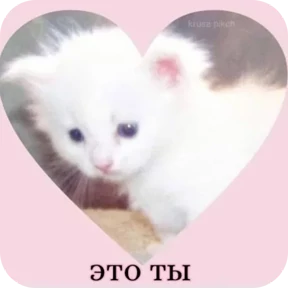 Стикер