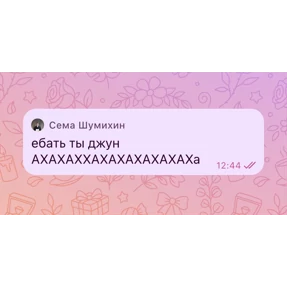 Seregga — стикер для MAX