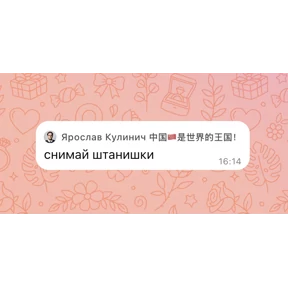 Seregga — стикер для MAX