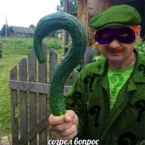 Стикеры — стикер для MAX
