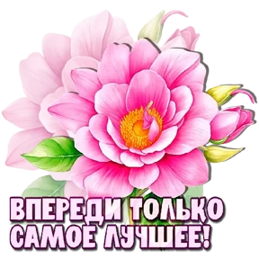 Стикер