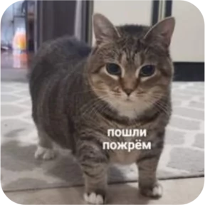 Котопак — стикер для MAX