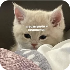 Стикер из сообщения канала