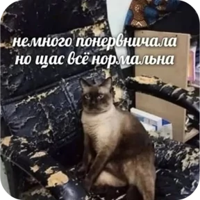 Котопак — стикер для MAX