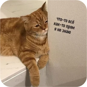 Котопак — стикер для MAX