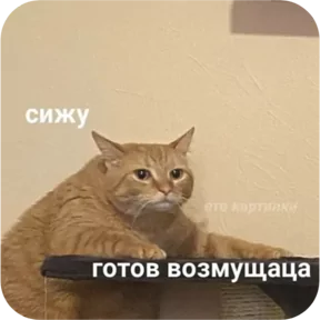 Фото — 4 августа 2026 г. в 10:09:01.017