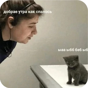 Котопак — стикер для MAX