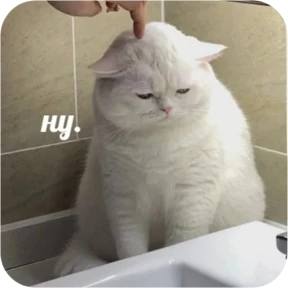 Котопак — стикер для MAX