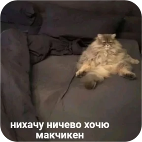 Котопак — стикер для MAX