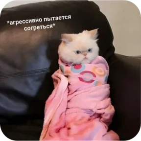 Котопак — стикер для MAX