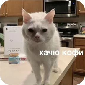Котопак — стикер для MAX