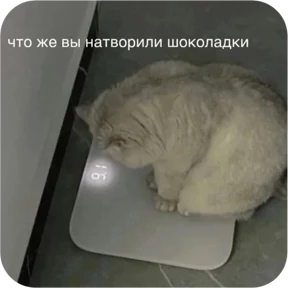 Котопак — стикер для MAX