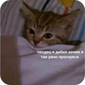Котопак — стикер для MAX