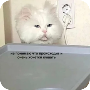 Котопак — стикер для MAX