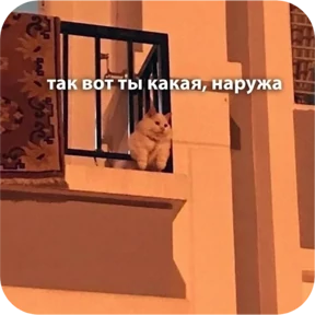 Котопак — стикер для MAX