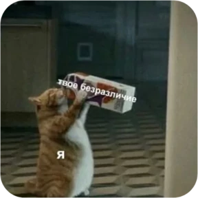 Котопак — стикер для MAX