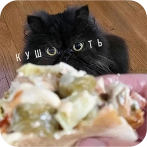 Котопак — стикер для MAX