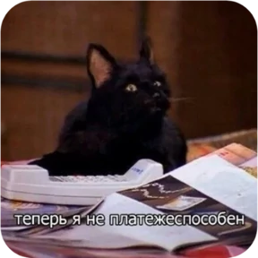 Котопак — стикер для MAX