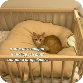 Котопак — стикер для MAX