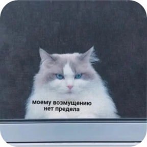 Котопак — стикер для MAX