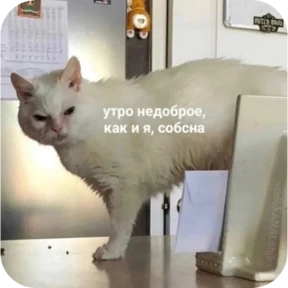 Котопак — стикер для MAX