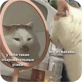 Котопак — стикер для MAX