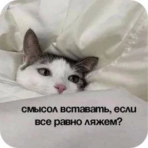 Котопак — стикер для MAX