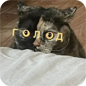 Котопак — стикер для MAX