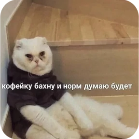 Котопак — стикер для MAX