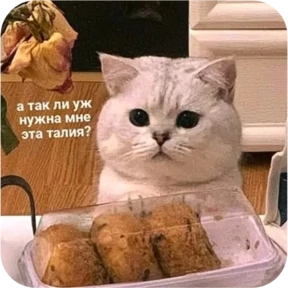 Котопак — стикер для MAX
