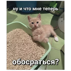 ✅ Открытки и поздравления - Подпишись — 28 июля 2026 г. в 06:05:06.105