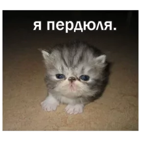 Стикер из сообщения канала