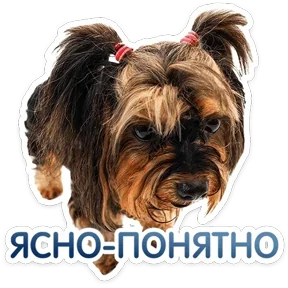 Стикер