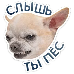 Стикер из сообщения канала