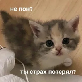 Фото — 10 августа 2026 г. в 16:12:12.415