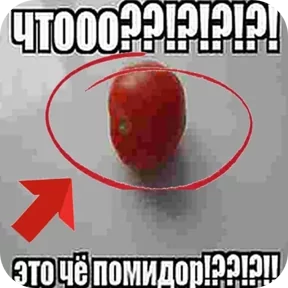 Стикер