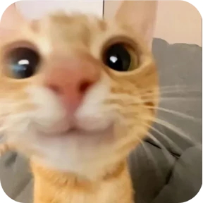 Котяточки — стикер для MAX