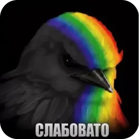 Стикер