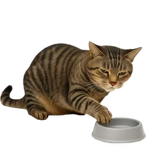 Стикер из сообщения канала