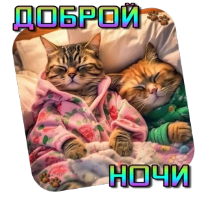 Утро,вечер,ночь от Ириски — стикер для MAX