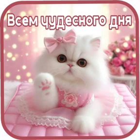 Утро,вечер,ночь от Ириски — стикер для MAX