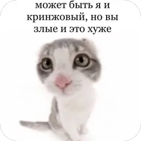 Стикер
