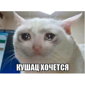 Мемы — стикер для MAX