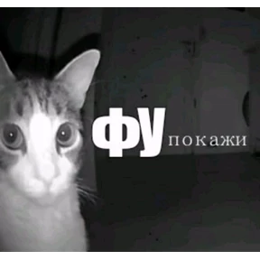 Мемы — стикер для MAX