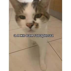 Мемы — стикер для MAX