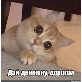 Мемы — стикер для MAX