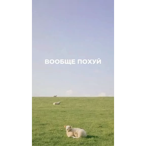 Мемы — стикер для MAX