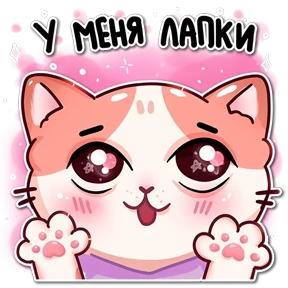 Мяу — стикер для MAX