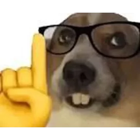 Стикер