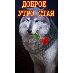 liookkl — стикер для MAX